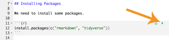 A code chunk with an arrow indicating the execute code chunk button.