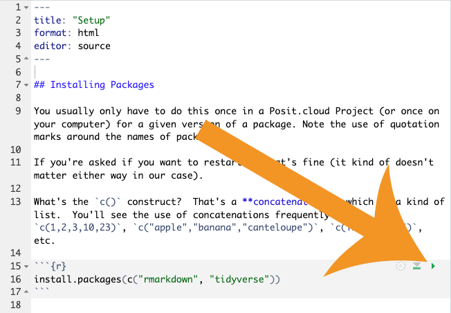 setup.qmd script with the code chunk indicated, an arrow pointing to the execute code chunk button.
