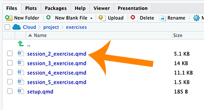 Exercises folder with session_2_exercise.qmd file indicated.
